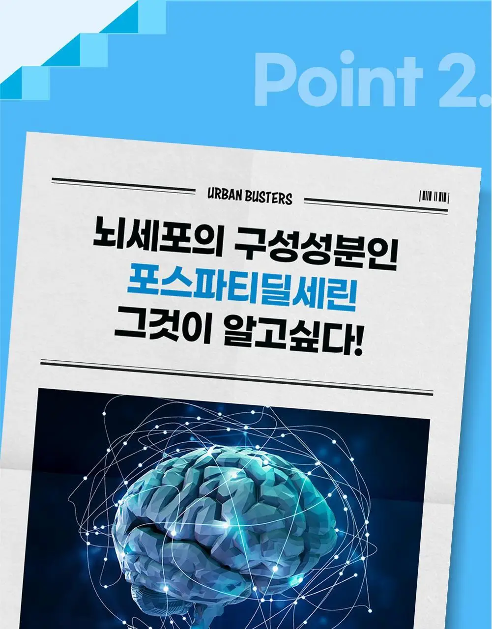 [포스파티딜세린] 반짝반짝 브레인 스틱 (14일분) 상세페이지 11
